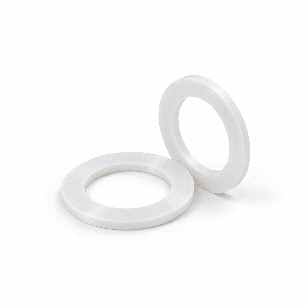 China PCTFE Gasket Manufacturer for Cryogenic Seals - Teflex